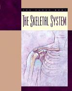 The Skeletal System