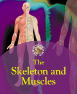 The Skeleton and Muscles
