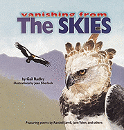 The Skies