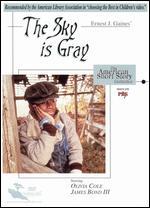 The Sky Is Gray