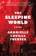 The Sleeping World