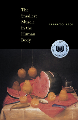 The Smallest Muscle in the Human Body - R�os, Alberto