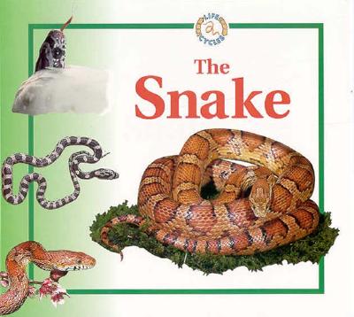 The Snake - Crewe, Sabrina