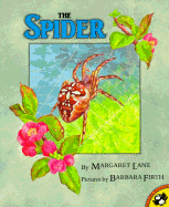 The spider