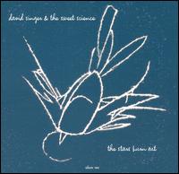 The Stars Burn Out - David Singer