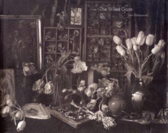 The Stilled Gaze: John Blakemore