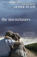 The Stormchasers