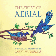 The Story of Aerial