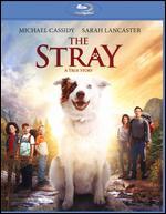 The Stray [Blu-ray]