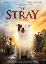 The Stray
