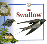 The Swallow
