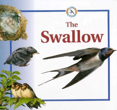 The Swallow - Crewe, Sabrina