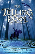 The Telling Pool