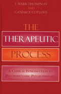 The Therapeutic Process: A Clinical Introduction to Psychodynamic Psychotherapy