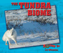The Tundra Biome