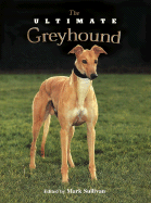 The Ultimate Greyhound - Sullivan, Mark (Editor)
