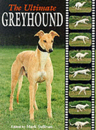 The Ultimate Greyhound