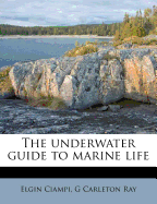 The Underwater Guide to Marine Life