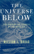 The Universe Below