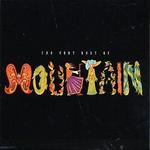 The Very Best of Mountain