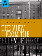 The View from the Vue