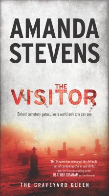 The Visitor - Stevens, Amanda