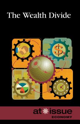 The Wealth Divide - Merino, No�l (Editor)