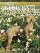 The Weimaraner Today - Bambridge, Vicky