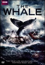 The Whale