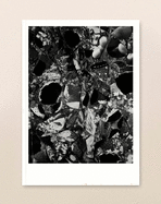 The White Review No.28
