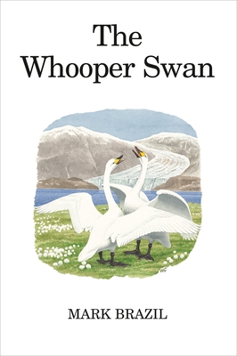 The Whooper Swan - Brazil, Mark
