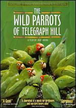 The Wild Parrots of Telegraph Hill