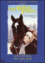 The Wild Pony