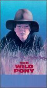 The Wild Pony