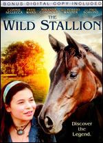 The Wild Stallion