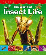 The World of Insect Life