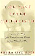 The Year After Childbirth