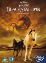 The Young Black Stallion