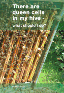 There Are Queen Cells in My Hive: - What Should I Do?