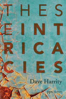 These Intricacies - Harrity, David