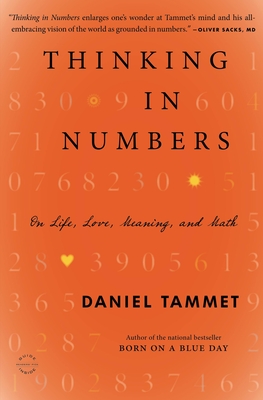 Thinking in Numbers - Tammet, Daniel