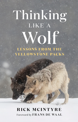 Thinking Like a Wolf: Lessons from the Yellowstone Packs - McIntyre, Rick, and de Waal, Frans (Foreword by)