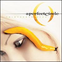 Thirteenth Step - A Perfect Circle