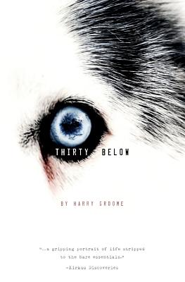 Thirty Below - Groome, Harry