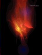 Thomas Wilfred's Clavilux