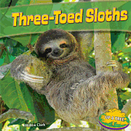 Three-Toed Sloths