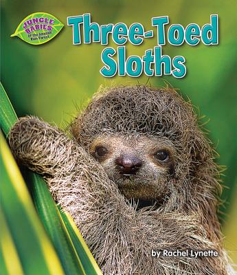 Three-Toed Sloths - Lynette, Rachel