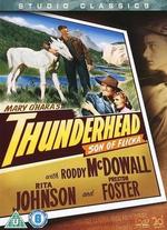 Thunderhead, Son of Flicka