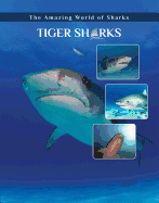 Tiger Sharks