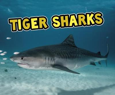 Tiger Sharks - Nuzzolo, Deborah